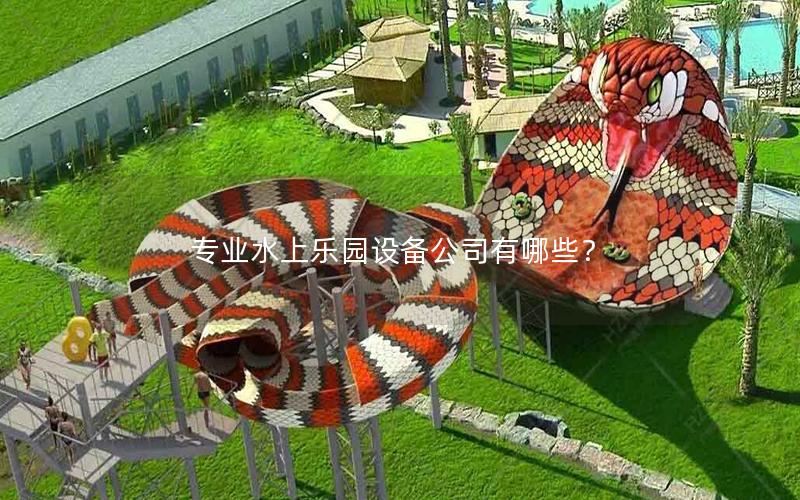 專業(yè)水上樂(lè)園設(shè)備公司有哪些？